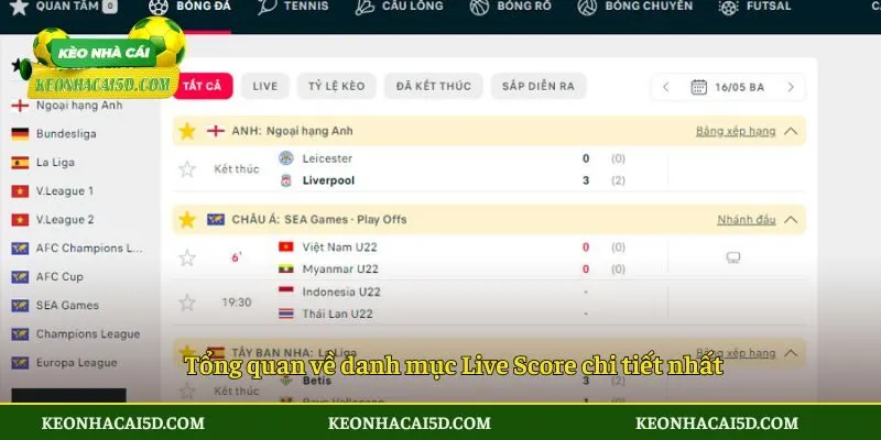 Tổng quan về danh mục Live Score chi tiết nhất