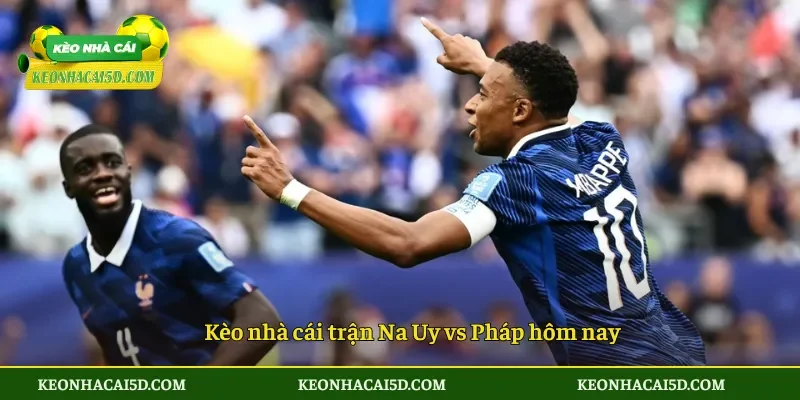 Soi Kèo Trận Đấu Na Uy vs Pháp 2h00 ngày 27/6 4 Kèo nhà cái trận Na Uy vs Pháp hôm nay