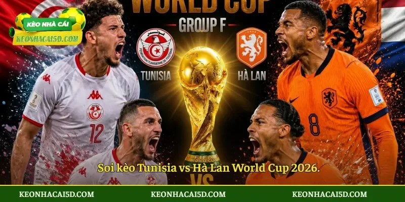 Soi Kèo Nhà Cái Tunisia vs Hà Lan 06h00 Ngày 26/6 4 Soi kèo Tunisia vs Hà Lan World Cup 2026.