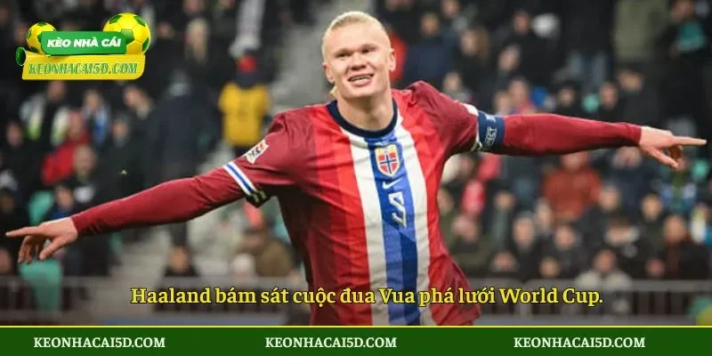 Haaland lập cú đúp đưa Na Uy vào thẳng vòng knock-out 4 Haaland bám sát cuộc đua Vua phá lưới World Cup.
