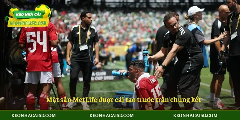 Sân Chung Kết World Cup Bị Chê Mặt Cỏ MetLife 4 Mặt sân MetLife được cải tạo trước trận chung kết