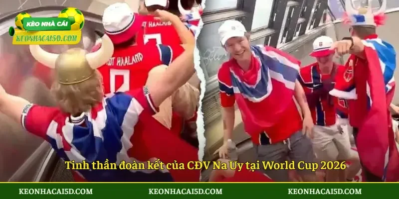 Văn hóa cổ vũ Na Uy gây sốt World Cup 2026 bởi sự độc đáo 4 Tinh thần đoàn kết của CĐV Na Uy tại World Cup 2026